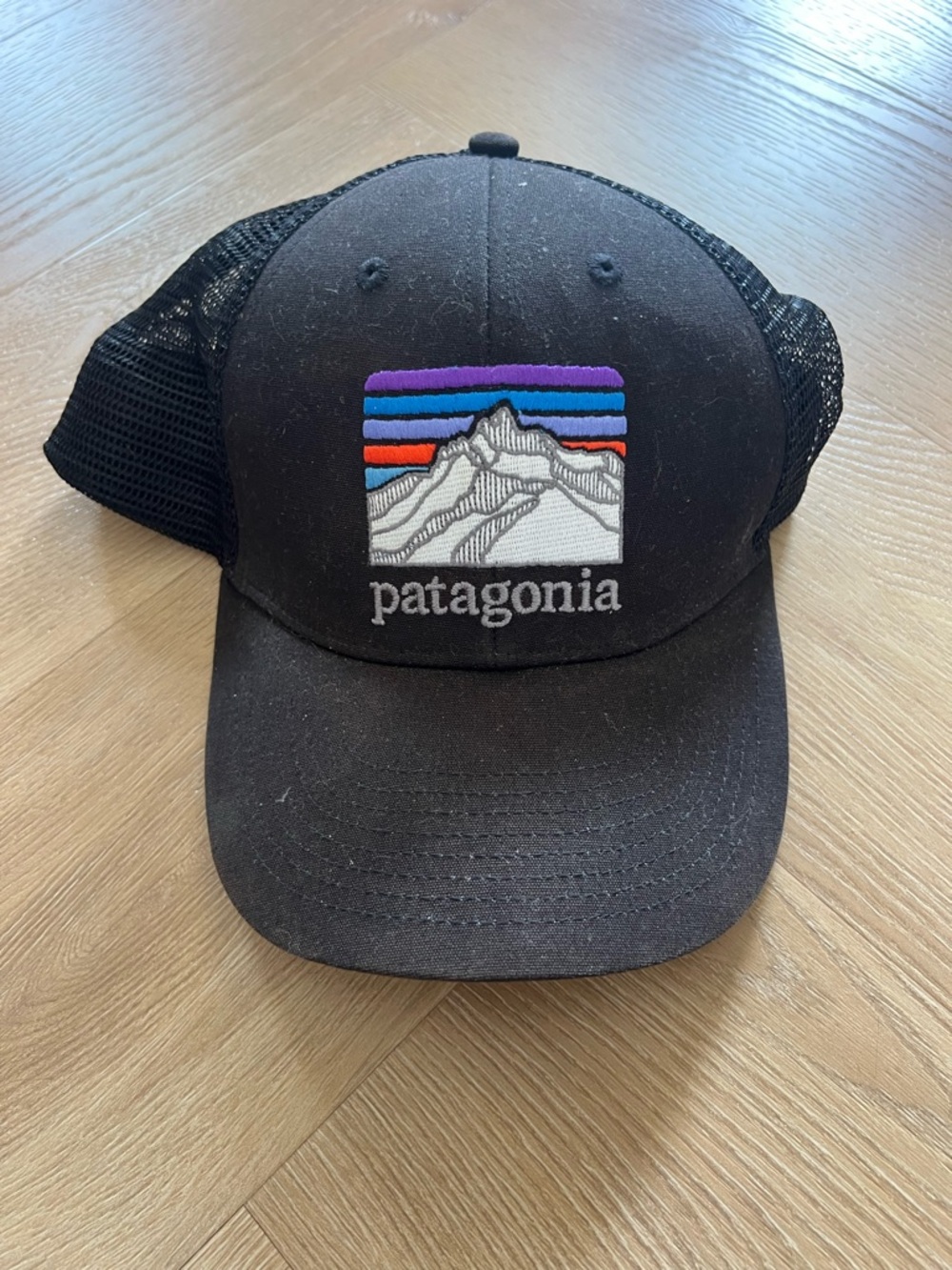 Patagonia Trucker hat